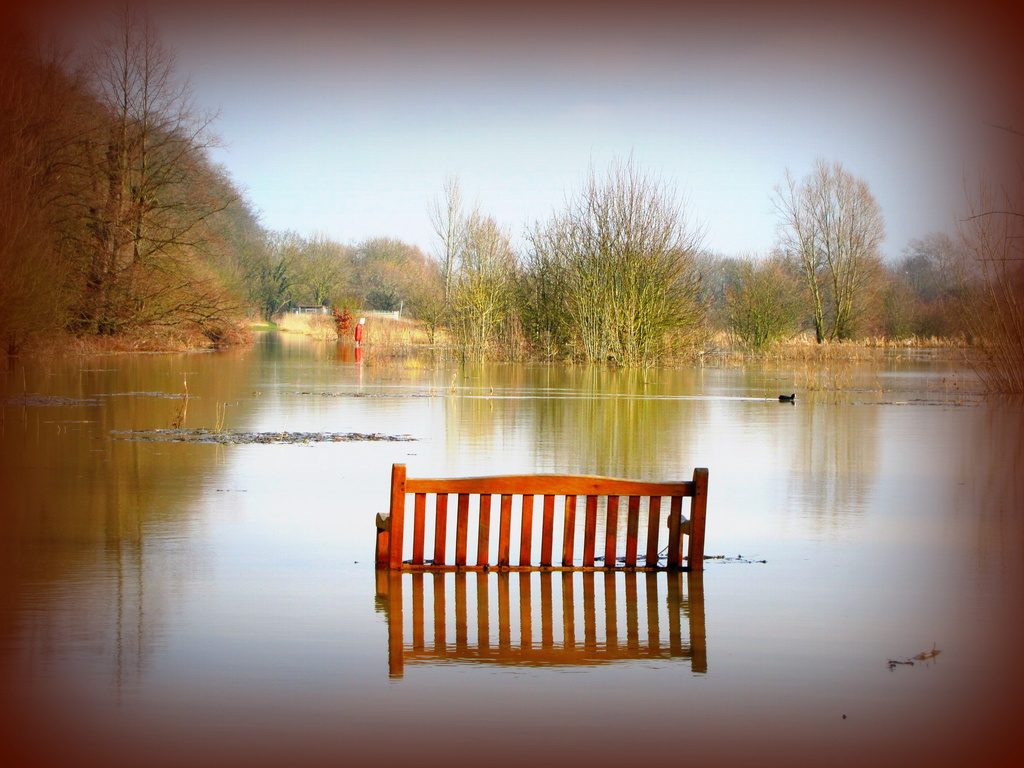 Bench with a view by busylady