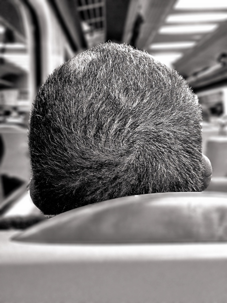 If you want to know what the back of your head looks like ... by edpartridge