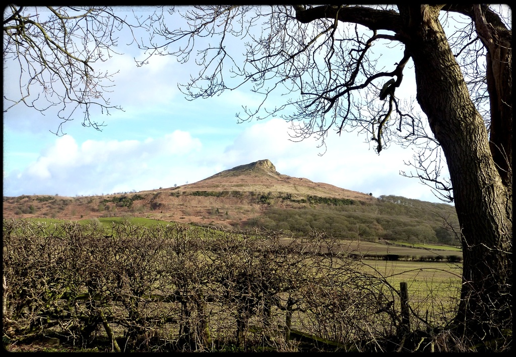 Roseberry Topping by craftymeg