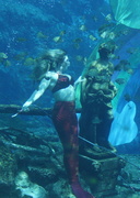 2nd Mar 2013 - Mermaid with Turtle:  Wicki Wachee, FL