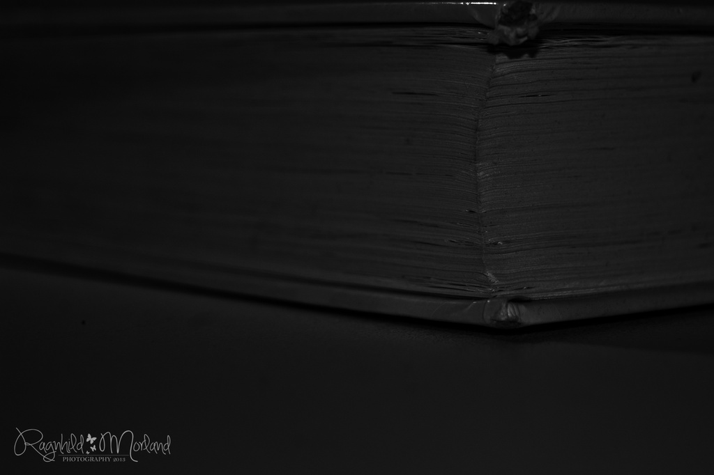 This is a book :) by ragnhildmorland