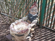20th Mar 2013 - Garden Gnome