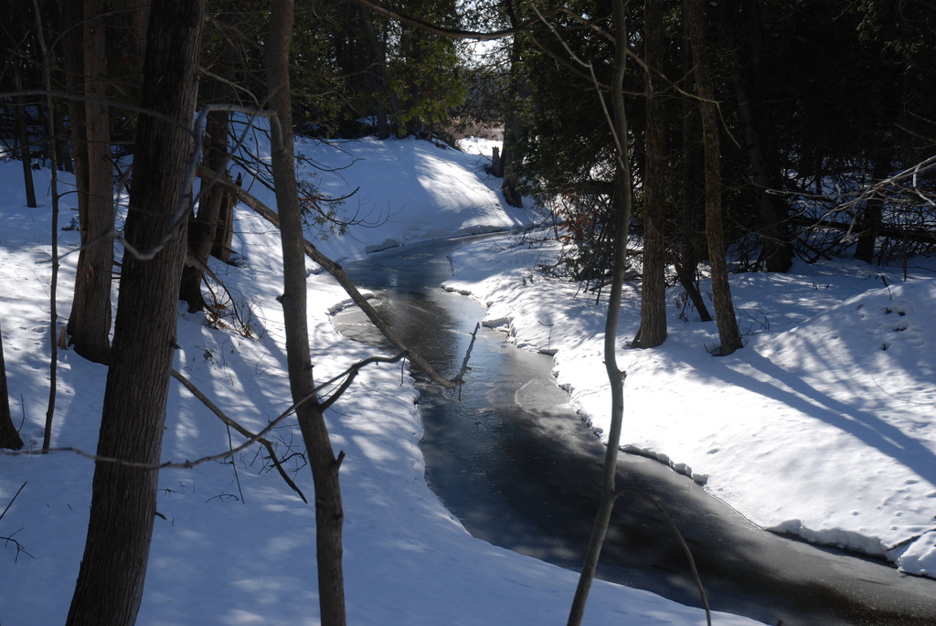 Spring Creek by farmreporter