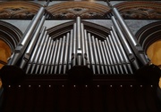 21st Mar 2013 - Organ pipes - 21-3