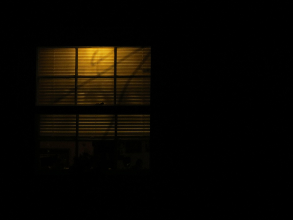 A Light In the Dark by grammyn