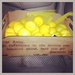 Thanks Life for the lemons  by annymalla