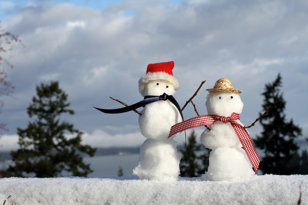 Little Snowmen!! by whiteswan
