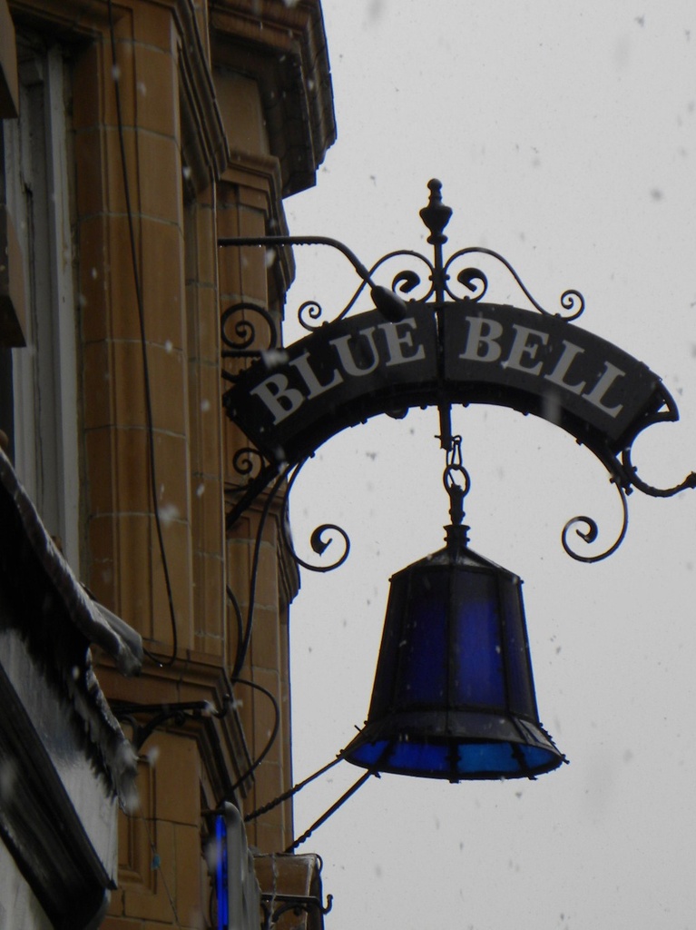 Bluebell by oldjosh