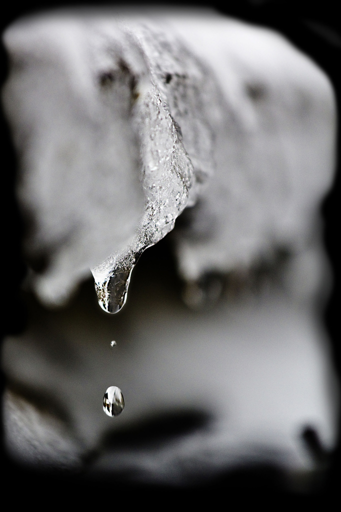 Ice Drop. by gamelee