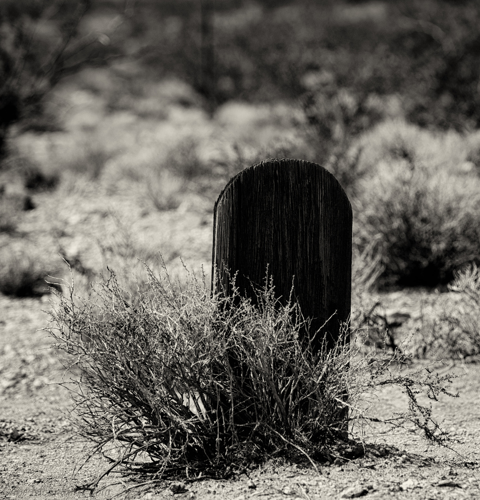 Cropped Grave Marker  by jgpittenger