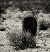 23rd Mar 2013 - Cropped Grave Marker 