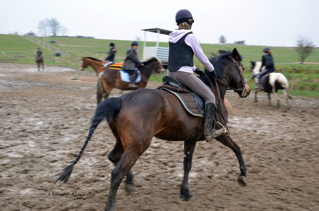 gallop by parisouailleurs