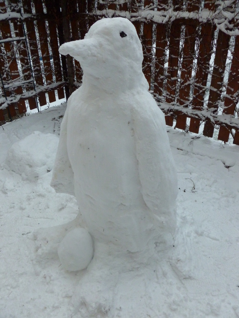 Snow penguin by gabis