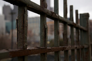 24th Mar 2013 - Rusted Fence