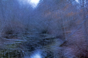 24th Mar 2013 - Motion Blur Abstract