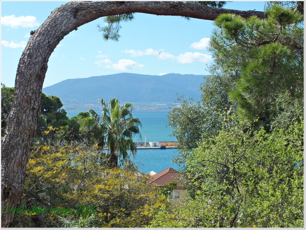 View From The Almeda Gardens,Gibraltar by carolmw