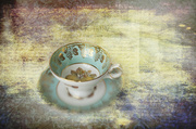 25th Mar 2013 - Morning Tea