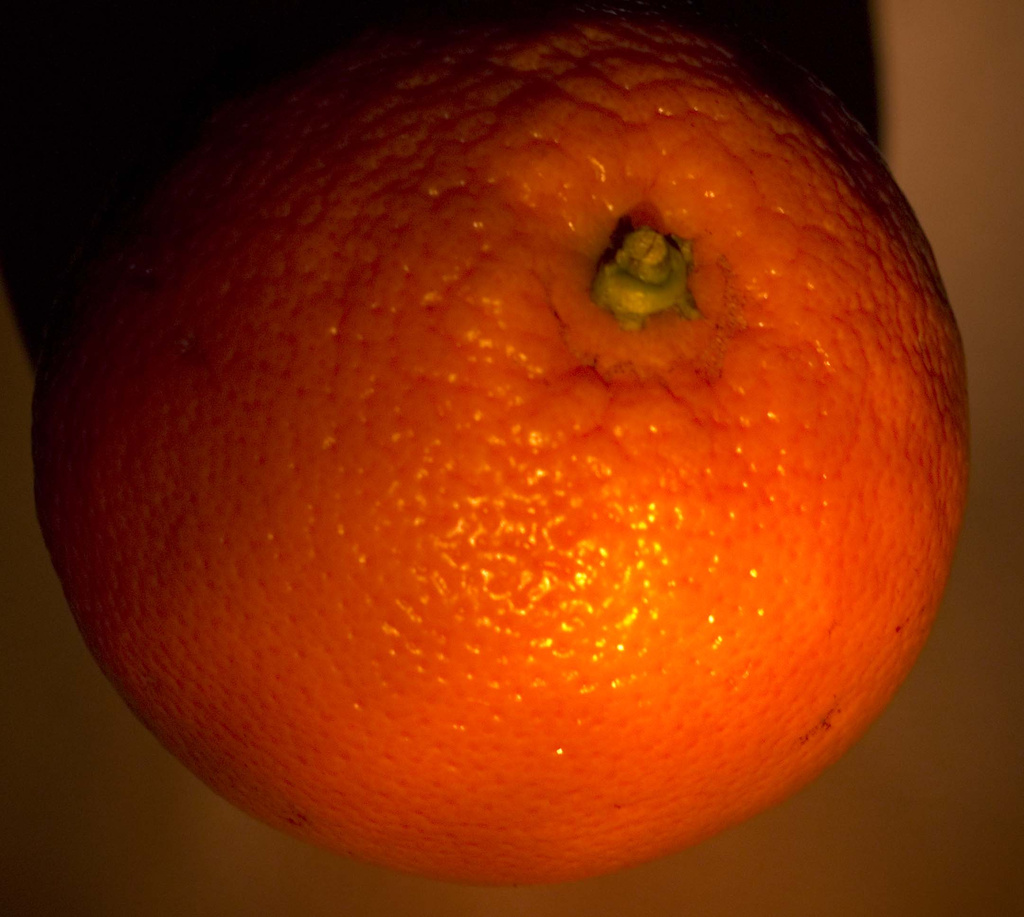 orange by tracybeautychick