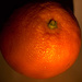 orange by tracybeautychick