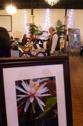 21st Mar 2013 - Art in Bloom