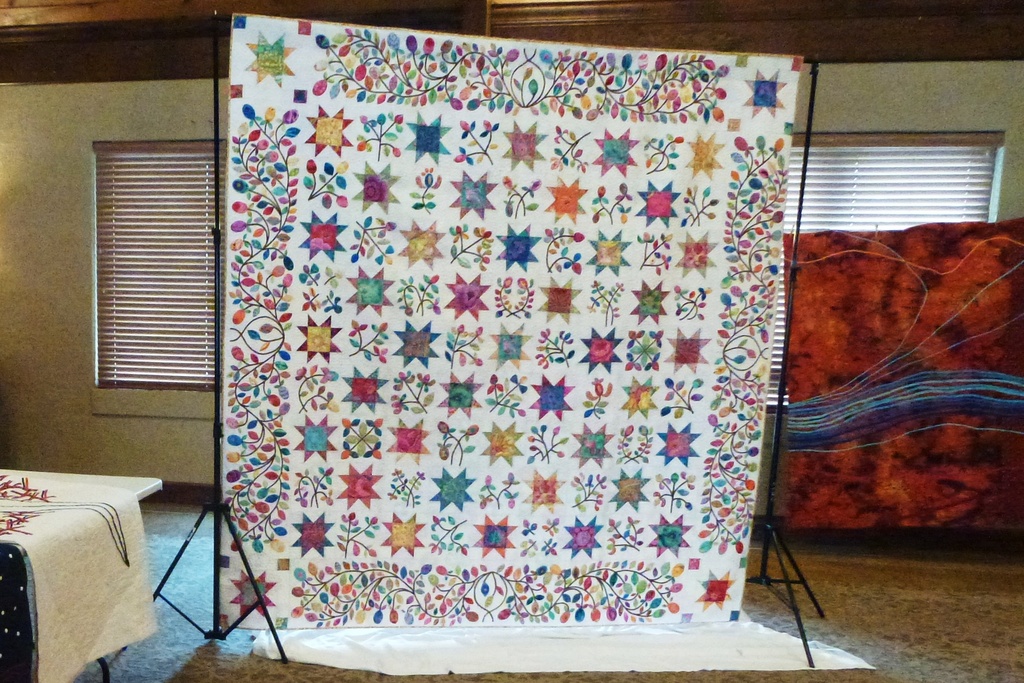 ECQG Raffle Quilt by margonaut