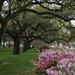 White Point Gardens at The Battery, Charleston, SC by congaree