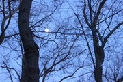 25th Mar 2013 - Moonrise