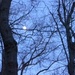 Moonrise by pfaith7
