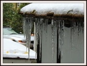 26th Mar 2013 - Icicles
