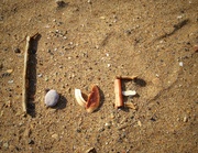 27th Mar 2013 - Love on the beach