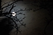 27th Mar 2013 - Moon over Sayville
