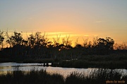 26th Mar 2013 - Sunrise on the swamp
