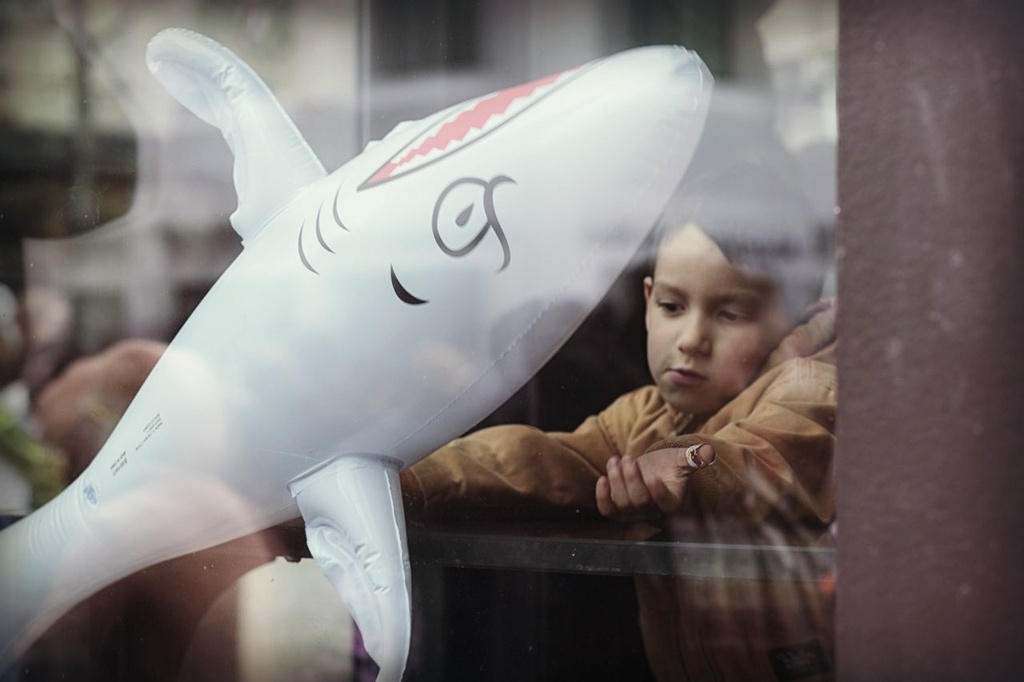 A Boy And His Shark by seattle