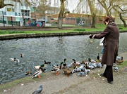 27th Mar 2013 - lady feeding the ducks - what orange legs they have!