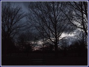 27th Mar 2013 - My local woods at dusk