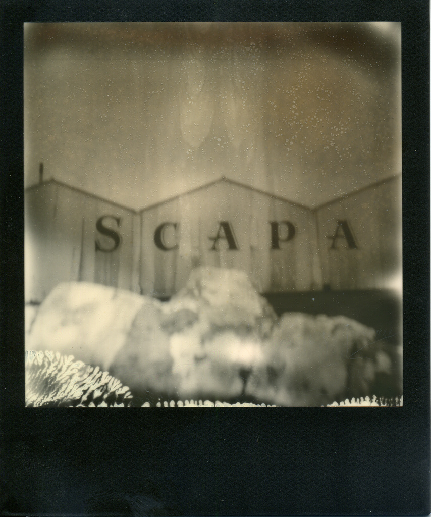 scapa polaroid by ingrid2101
