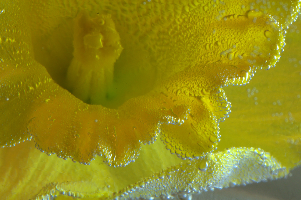 Yellow bubbles by jayberg
