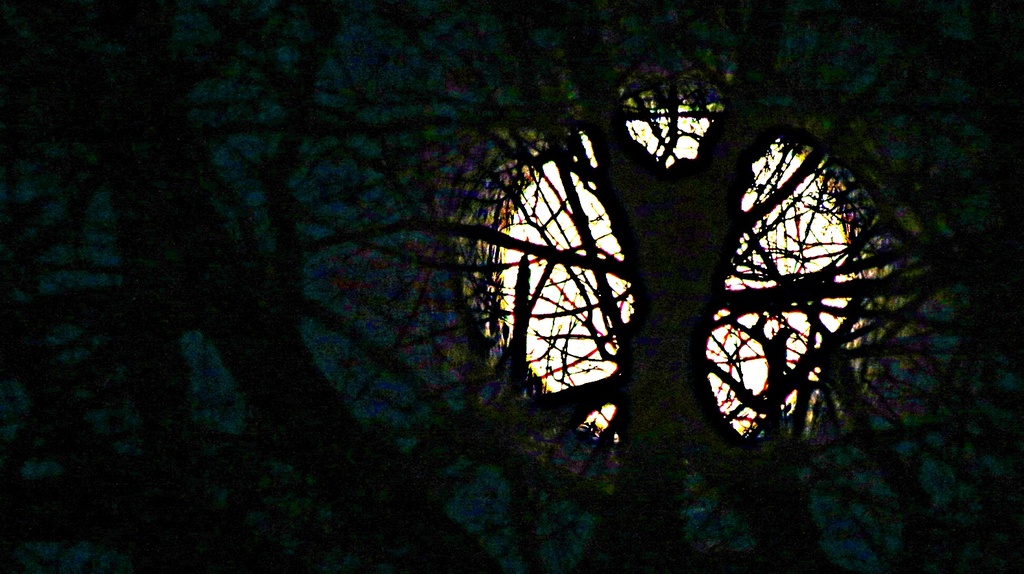 Moonset 6:55 a.m. by juliedduncan