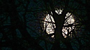 27th Mar 2013 - Moonset 6:55 a.m.