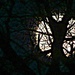 Moonset 6:55 a.m. by juliedduncan