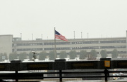 24th Mar 2013 - Snowing at Dulles Airport Washington