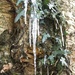 Icy growth by angelar