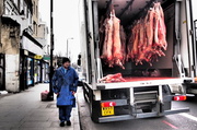 28th Mar 2013 - Fresh Meat