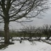 Snowy Lincolnshire landscape  by foxes37