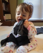 28th Mar 2013 - Eating daddy's socks