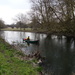 River Avon Salisbury week 12 with canoe - 28-3 by barrowlane
