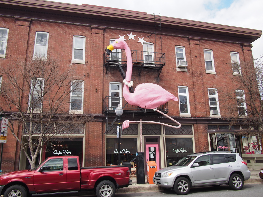 Pink Flamingo by grozanc