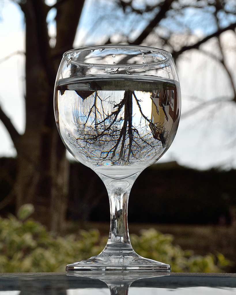 The world in a glass of water by richardcreese