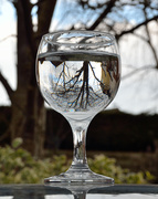 29th Mar 2013 - The world in a glass of water