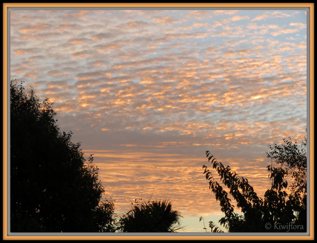 Sunset - Rolleston, Canterbury, NZ by kiwiflora